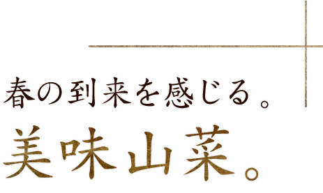 お酒が飲みたくなる 後を引く美味しさ。